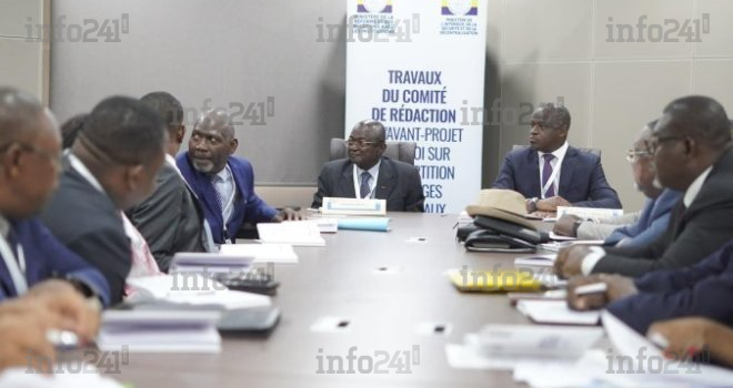 Découpage électoral et lois sur les partis au Gabon : ce que l’on sait des attendus des 2 comités