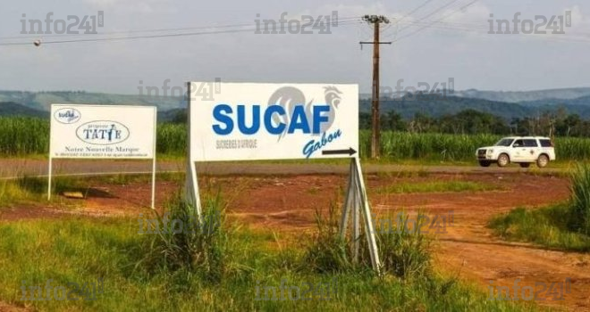 Accusée de causer la pénurie de sucre au Gabon, la Setrag se défend et contre-attaque !