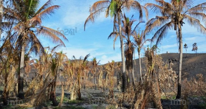 Climat : 1/3 de la population mondiale vivra dans des zones dangereusement chaudes d’ici 2100