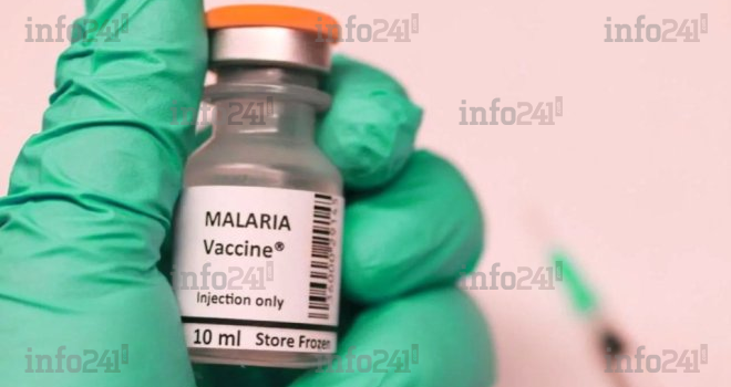 Paludisme&nbsp;: «&nbsp;RTS,S&nbsp;», le tout premier vaccin homologué par l’OMS bientôt déployé