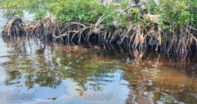 Perenco mise en examen au Gabon pour avoir pollué plusieurs sites près de Port-Gentil