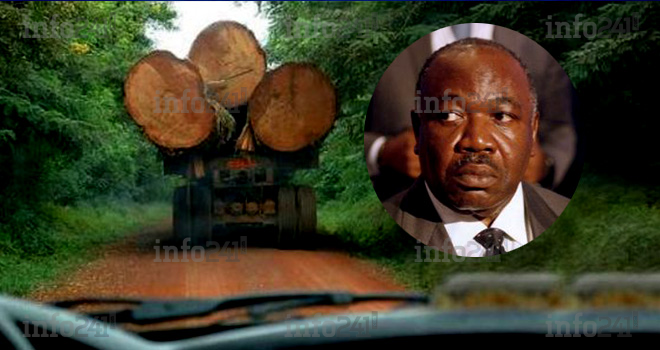 Et si le Kevazingogate n’était en réalité... qu’une négligence d’État&nbsp;!