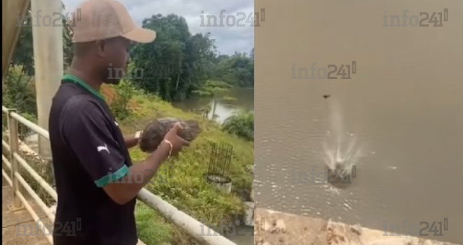 Hercule Nze Souala devient la risée du web après avoir noyé une tortue qu’il croyait sauver