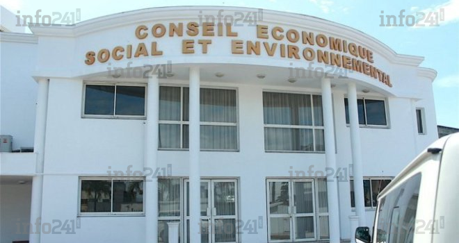 Transition : Quels sont les 60 membres du Conseil économique social et environnemental ?