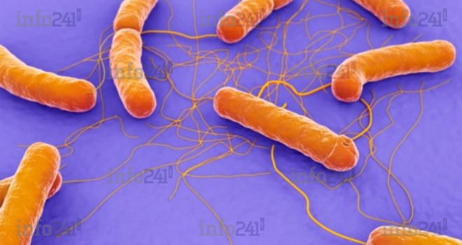 Alerte à la céréulide&nbsp;: L’Agasa rassure sur l’absence de laits infantiles contaminés au Gabon