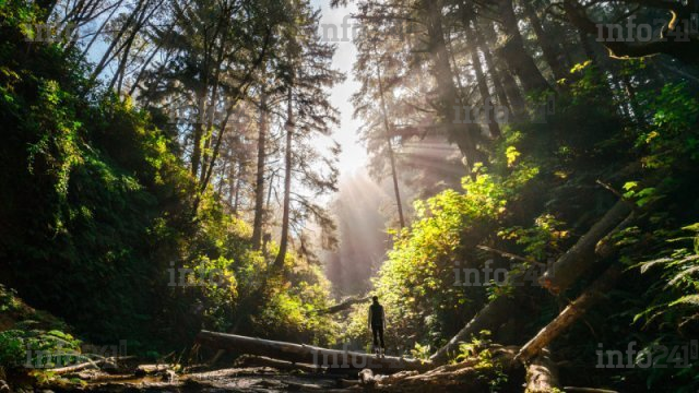 Makouké : Une mamie de 81 ans secourue après s’être égarée durant plusieurs heures en forêt