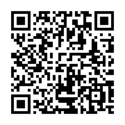 qrcode:https://news241.com/plusieurs-navires-victimes-d-attaques-de-pirates-au-large-de,023