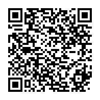 qrcode:https://news241.com/angola-les-exportations-de-diamant-ont-rapporte-2-milliards-de,1631
