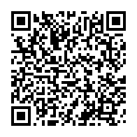 qrcode:https://news241.com/pour-fefe-onanga-la-future-constitution-n-est-pas-taillee-sur,9476