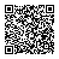 qrcode:https://news241.com/grand-libreville-les-navires-electriques-flottants-karpowership,10702