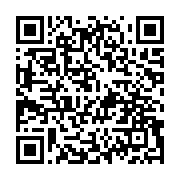 qrcode:https://news241.com/un-chef-de-village-tue-par-un-arbre-pres-de-kango,554