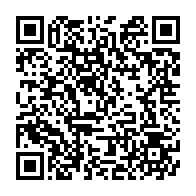 qrcode:https://news241.com/ligue-des-champions-2025-26-jetez-votre-devolu-avec-les-belles,11541