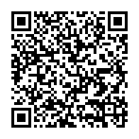 qrcode:https://news241.com/la-paix-et-la-securite-en-afrique-inscrites-dans-l-agenda-de-l,3480