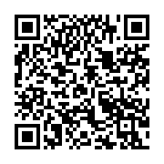 qrcode:https://news241.com/un-avion-de-senegal-airlines-percute-un-homme-lors-d-un,210