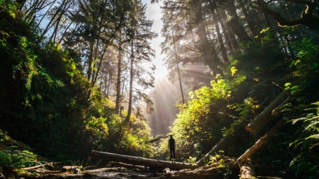 Makouké&nbsp;: Une mamie de 81 ans secourue après s’être égarée durant plusieurs heures en forêt 